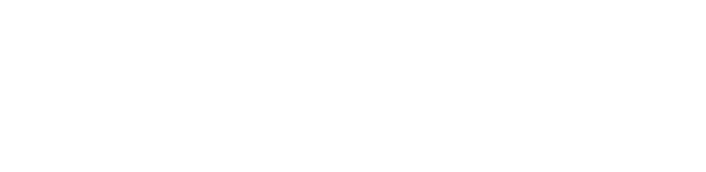 Nina logo