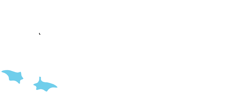 Sula logo